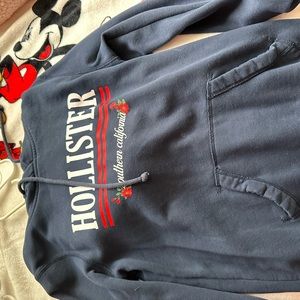 hollister blue hoodie size small